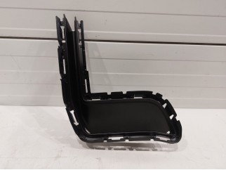 Trim Bezel, LH
